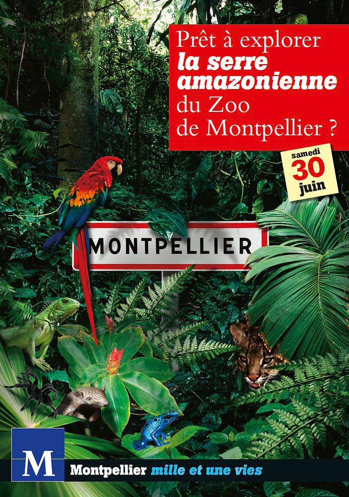Édition & publicité — œuvre 04 de Philippe Azzaretti