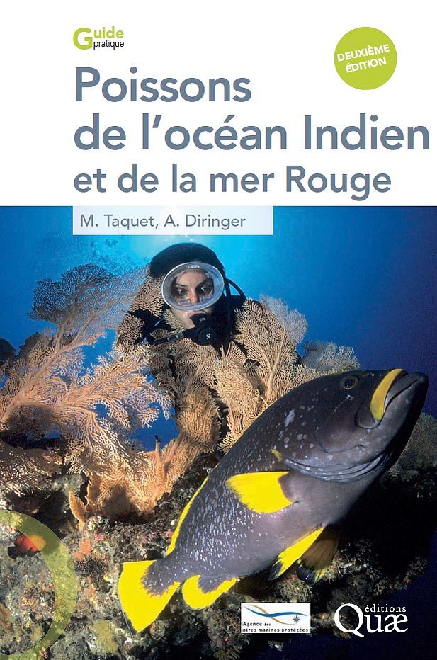 Édition & publicité — œuvre 20 de Philippe Azzaretti